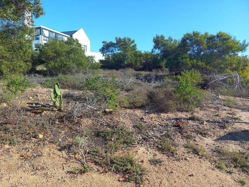 0 Bedroom Property for Sale in Da Gama Bay Western Cape